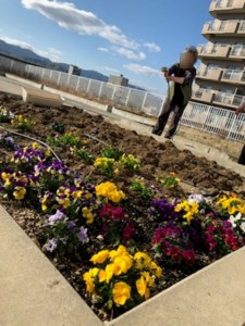 190308_屋上庭園　お花の水やり（チャーム長岡京）